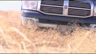 Tumbleweeds Invade Parts of the West [upl. by Corrianne]