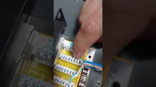 How to install patch panel network cable humor [upl. by Inaboy934]