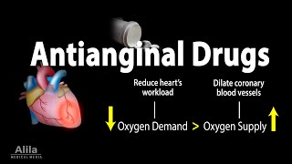 Pharmacology Antianginal Drugs Animation [upl. by Tiffy]