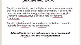 JEAN PIAGETS THEORY OF COGNITIVE DEVELOPMENT PART 1 In Hindi [upl. by Annal1]