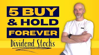 5 Buy amp Hold Forever Stocks [upl. by Eiramnwad]