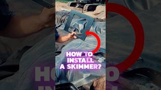 Installing a Pond Skimmer💦 Quick Overview pond koipond skimmer install Aquascape [upl. by Asyl]