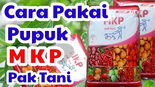 Cara Pemakaian Pupuk MKP Pak Tani untuk Segala Jenis Tanaman [upl. by Gorrian]