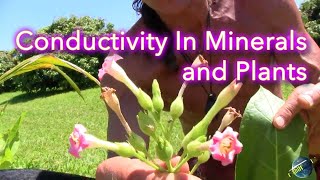 Conductivity In Minerals and Plants  Dr Robert Cassar [upl. by Bibbye]