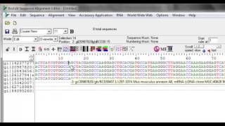 Sequence editing in Bioedit [upl. by Aynotel]