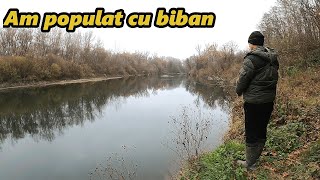 Am Pescuit pe Prut și am Salvat 50 de Bibani dintro Baltă [upl. by Enicar700]