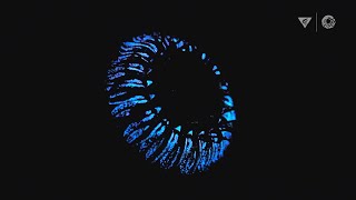 Bioluminescence in the deep sea How and why do animals create their own light [upl. by Enimisaj]