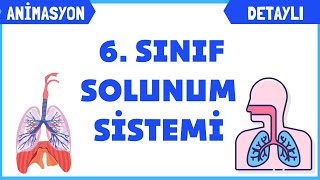 SOLUNUM SİSTEMİ 6 SINIF FEN BİLİMLERİ [upl. by Perrie]