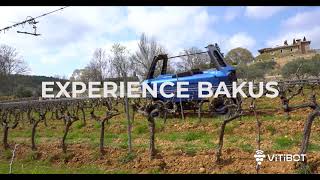 Discover Bakus  Full electric and autonomous vineyards robot  By VitiBot [upl. by Sherburne336]