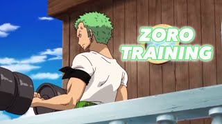 Sea of problems  Zoro training edit [upl. by Ahsille]