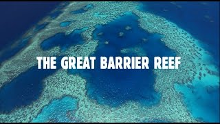 Queenslands Great Barrier Reef The Worlds Best Address [upl. by Annahahs]