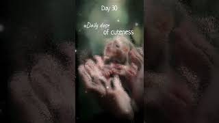 Day 30  This little ferret is your merit ferret babyanimals cute [upl. by Paugh]