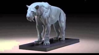 Smilodon Anatomy Model with Mouth  Closed Head by Juns Anatomy [upl. by Atiana]