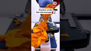 Doritos Under The Microscopethistechnologyshortsmicroscopemrbeastfacts [upl. by Hgeilhsa921]