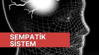 SEMPATİK SİSTEM OTONOM SİNİR SİSTEMİSERDAR AKGÜN [upl. by Lawton]