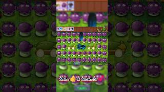 See it pvzfusion pvz plantsvszombies pvzmemes [upl. by Ofloda302]