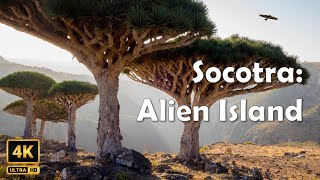 Socotra Island Yemen Tour Alien Place Relaxation। Socotra Island Tour [upl. by Sukey]