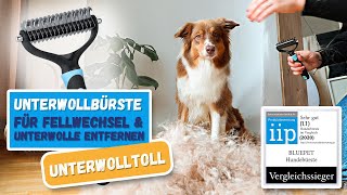 So entfernst du Unterwolle  Mit der richtigen Unterfellbürste für Hund amp Katze [upl. by Zippora94]