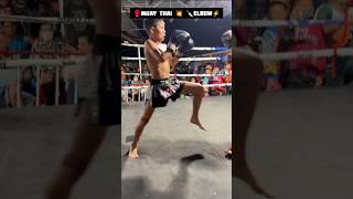 Spear elbow 🔪 ⚡ strike fitness shorts kickboxing martialarts muaythai trending viralvideo [upl. by Oam]