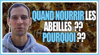 Quand nourrir les abeilles  Pour quelles raisons [upl. by Aiuqat]