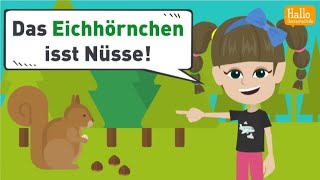 Deutsch lernen A1 und A2  Wörter mit den Umlauten ä ö und ü  Wortschatz und Grammatik üben [upl. by Auhsot583]