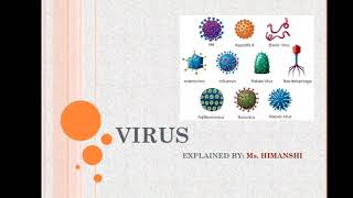 virus ultrastructure and morphology viral capsid  viral genome  prions virion  viroids [upl. by Siseneg]