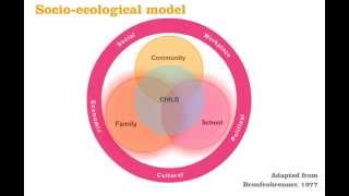 Bronfenbrenners socioecological model [upl. by Eelaras]