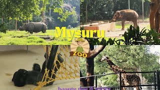 🌍 A Day at Mysore Zoo Wild Encounters amp Conservation Adventures🦁✨ [upl. by Vilma]