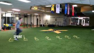 20 Mini Hurdle Drills for Speed Quickness and Agility [upl. by Nylidnam221]