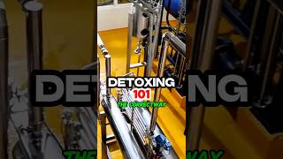 Detoxing 101 detox detoxification detoxjuice healthtips holistichealth healthyfood ytshort [upl. by Christophe]