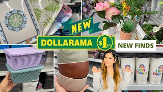 Dollarama Dollar Store Canada Finds For Home Kitchen Pantry organizers Dinnerware Decor dollarama [upl. by Norbie292]