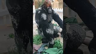 BRICKLIVE INTO THE WILD TRAIL LEGO GORILLA [upl. by Arratal]