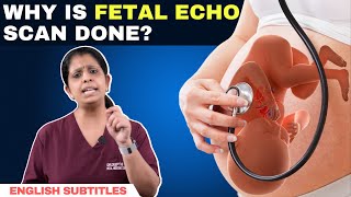 Why is fetal echo scan done  கருவிலேயே குழந்தையின் இதய குறைபாடுகளை கண்டுபிடிக்க முடியமா [upl. by Yntruoc]