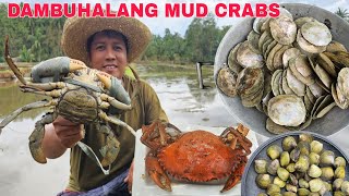 DAMBUHALANG MUD CRABSInihaw na KapisFirst time Makatikim ng Kapis si NANAY AT TATAY kambal [upl. by Emmie372]