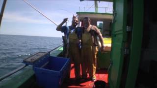 Pescadores artesanales en Hondarribia País Vasco [upl. by Nerat837]