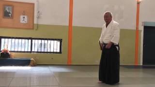 Tachi Dori Sword Taking Aikido by Fukakusa Shihan 8th Dan at Masatake Dojo Rehovot Israel [upl. by Dias]