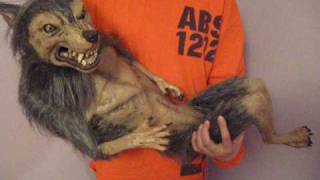 Baby Werewolf Puppet Halloween Haunted House Prop [upl. by Namrak501]