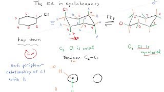 The E2 Reaction in Cyclohexanes 2 [upl. by Erihppas160]