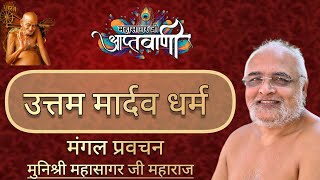 मंगल प्रवचन श्री चौबीसी मंदिर जी 🙏🏻मुनि श्री महासागर जी महाराज🙏🏻पावन वर्षायोग चंदेरी 09092024 [upl. by Yaker]