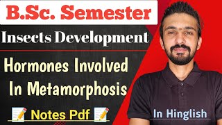 Hormones Involved In Metamorphosis  Insects  Bsc Semester  By Dadhich Sir [upl. by Ramey]