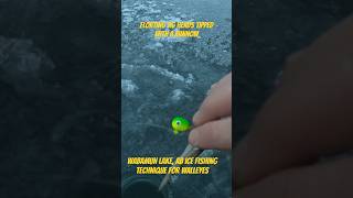 Ice fishing Wabamun Lake 2024  Floating Jig Heads for Walleye northlandtackle [upl. by Adnamal]