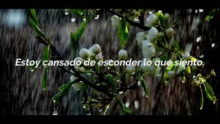 Spring rain Lluvia de primavera  Oscar Dunbar Sub español by NTUnalattya OST One Spring Night [upl. by Enomor]