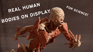 Body Worlds Cadavers on Display [upl. by Ideih428]