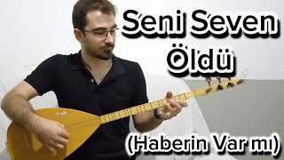 Seni Seven Öldü Haberin Var mı Kısa Sap Bağlama [upl. by Jori]