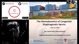 Hemodynamics of Congenital Diaphragmatic Hernia [upl. by Bazar283]