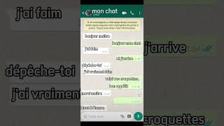 Discussion WhatsApp avec mon chat [upl. by Solley]