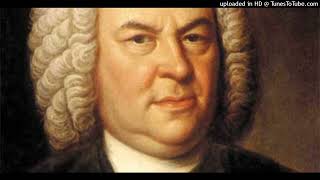 Johann Sebastian Bach  Duet in A minor BWV 805 [upl. by Atinahs]