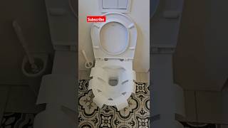 Laufen toilet flushtoiletflush [upl. by Nemad]