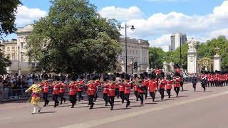 NEW Bands at the State Opening of Parliament [upl. by Rennob]