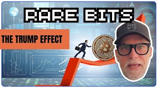 Bitcoin Surges Thanks to Trump Effect [upl. by Handbook]